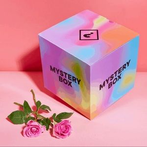 MYSTERY BOX! 10 articles of clothing!